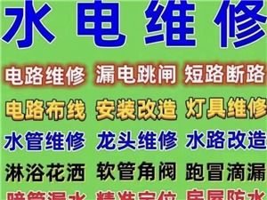 陇南都市网